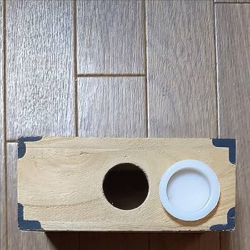 Amazon.co.jp: 千両箱 貯金箱 銭箱 木箱 古民具 レトロ